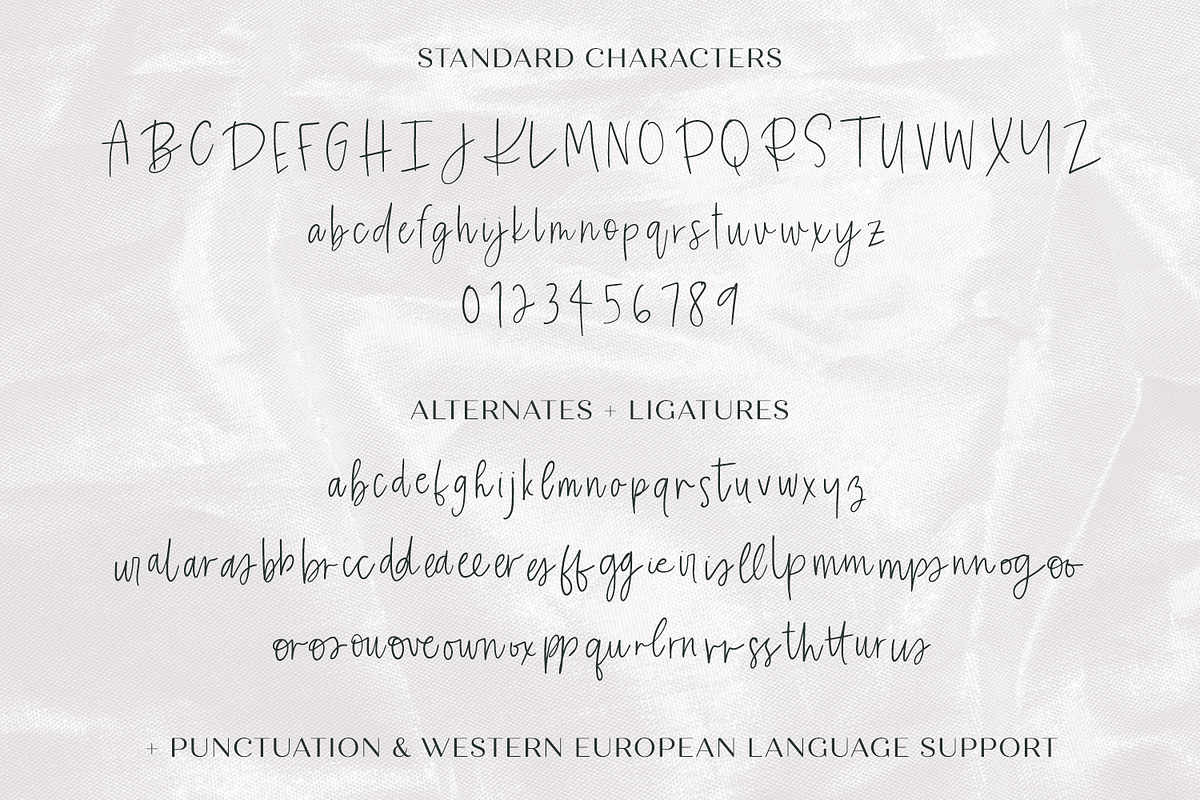 Eireann Signature Script, a Script Font by Beck McCormick (Photo 10 of 10)