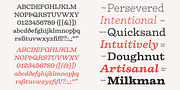 Firelli, a Serif Font by Typejockeys (Thumbnail 4 of 6)