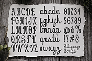 Alligony Retro Script, a Script Font by madeDeduk (Thumbnail 4 of 10)