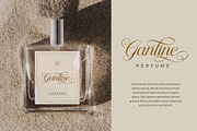 Helyna Elegant Script Font, a Script Font by RantautypeStudio (Thumbnail 7 of 19)