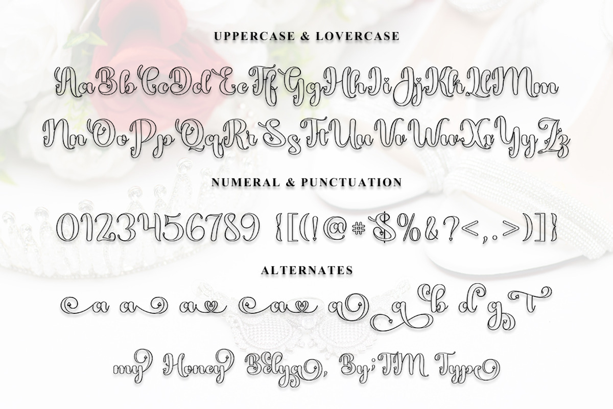 My Honey Belya, a Script Font by TM Type (Photo 10 of 10)