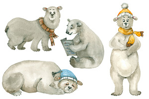 Polar bear set
