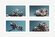 Arid Co · Desert Plantscape, a Texture Illustration by milatovar (Thumbnail 4 of 20)