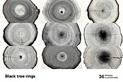 Black tree rings collection, a Decorative Illustration by Handmadefont (Thumbnail 3 of 10)