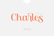 Minimalist Font Bundle • 80% OFF, a Serif Font by vuuuds (Thumbnail 10 of 47)