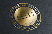 Modern logo elements + BONUS, a Branding & Logo Template by The Black & Art (Thumbnail 8 of 10)