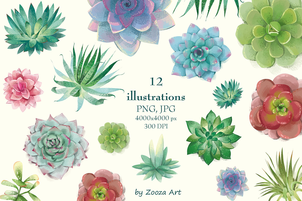 Succulents: 12 images, 6 patterns, an Illustration by Zooza Art (Photo 2 of 9)