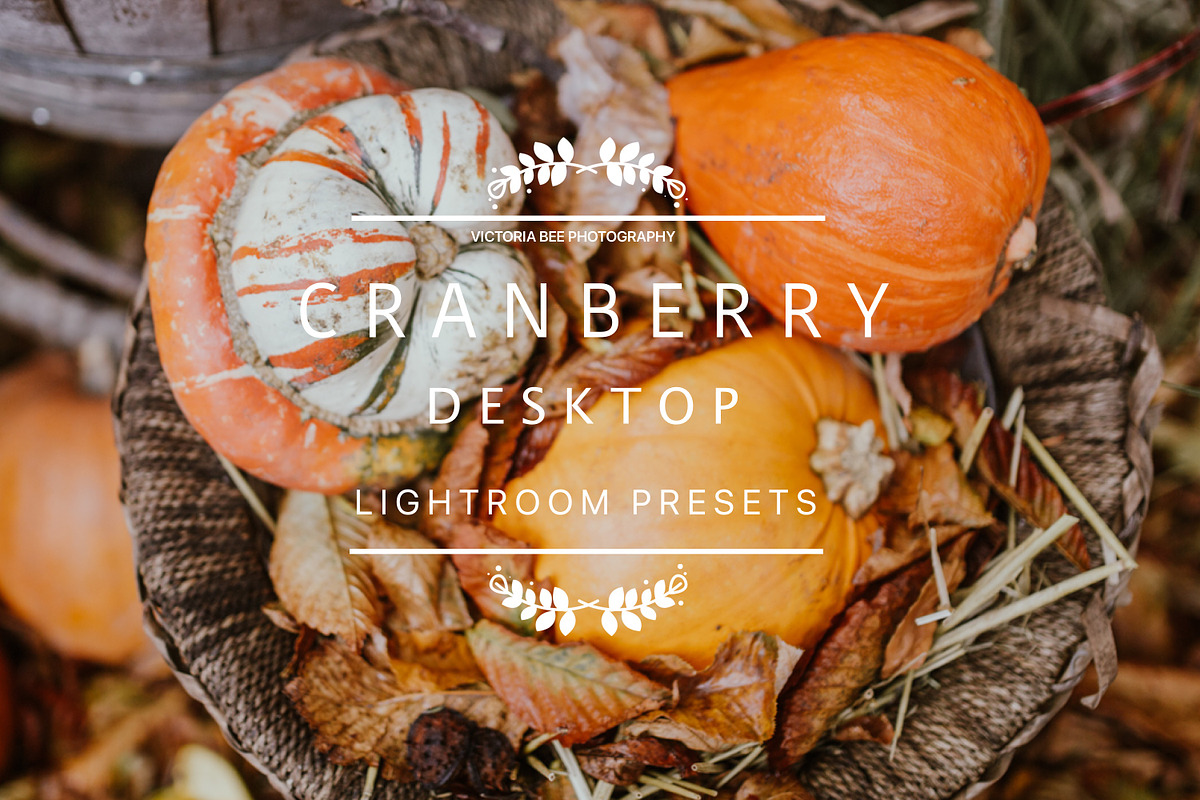 Desktop Lightroom Presets CRANBERRY, a Plug-in Add-On by Victoria Bee Presets (Photo 2 of 29)