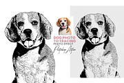 Animal Photo to Tracing, an Action Add-On by MRI STUDIO (Thumbnail 10 of 10)