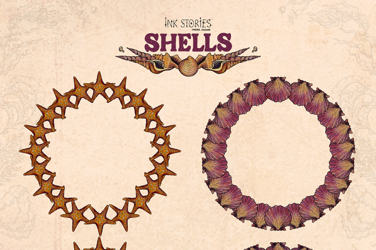 Shells, an Animal Illustration by Ink Stories (Photo 9 of 21)