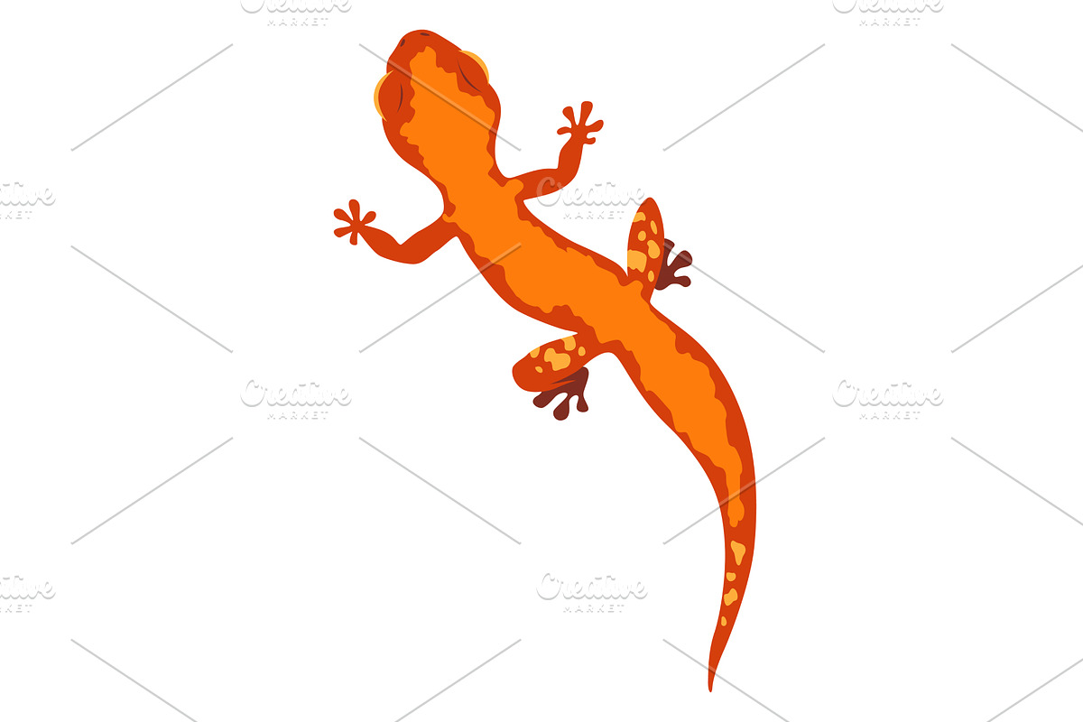 Lizard icon. Tropical colorful, an Animal Illustration by Things for designers