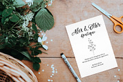 Oriole Script Font, a Script Font by The Pigeon Letters (Thumbnail 7 of 14)