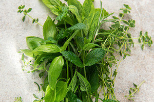 Fresh herbs bouquet for culinary seasoning and cooking, a Food & Drink Photo by Olena Rudo