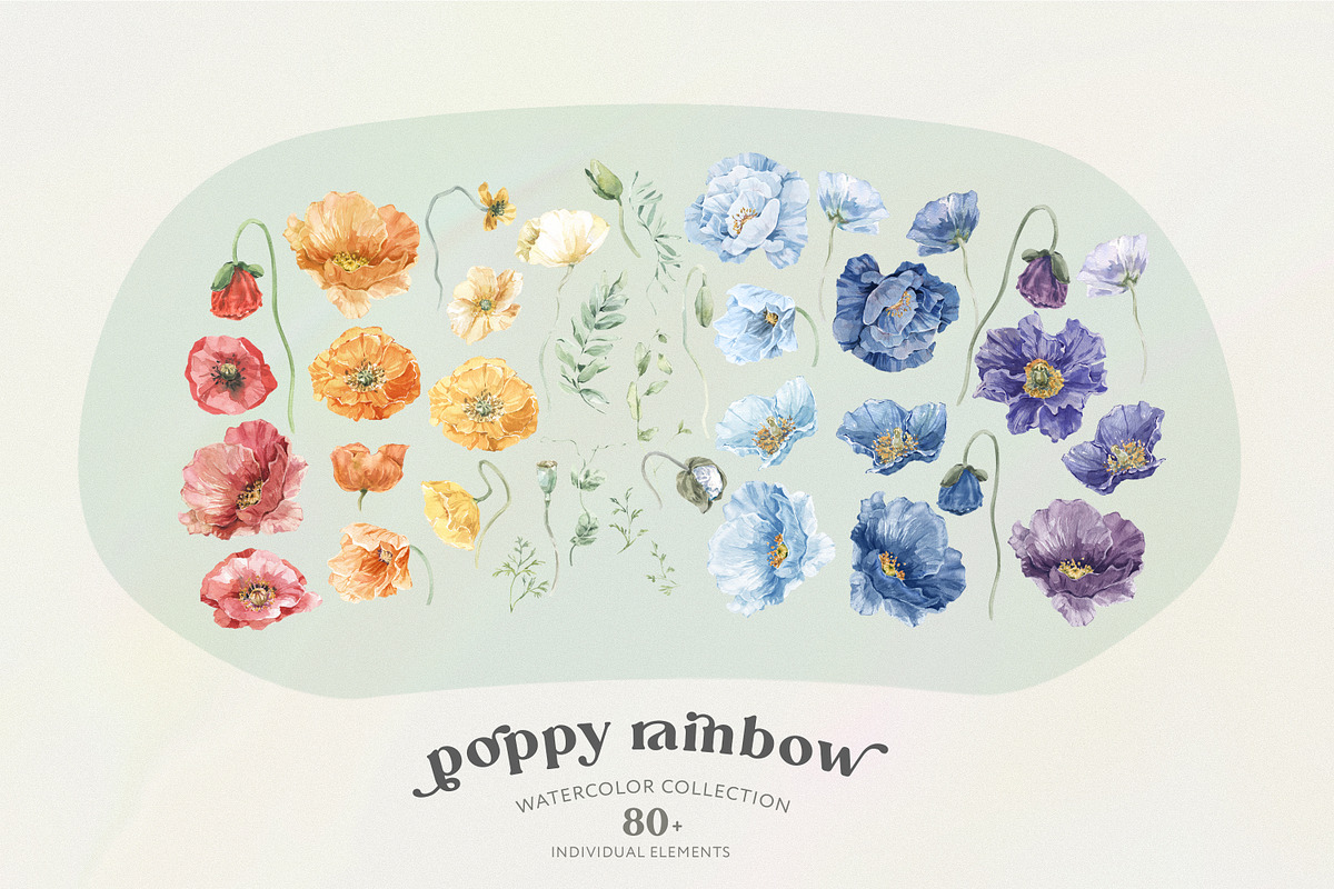 Poppy Rainbow Floral Watercolor Set, an Illustration by Cat In Colour (Photo 2 of 10)