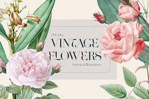 VINTAGE FLOWERS Watercolor Png Set