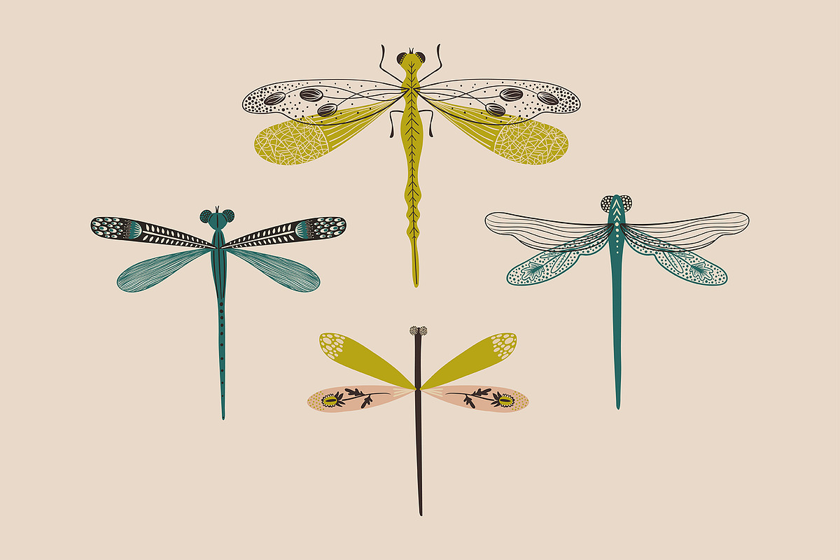 Folk Art Insects., an Animal Illustration by Annakniaz (Photo 8 of 15)