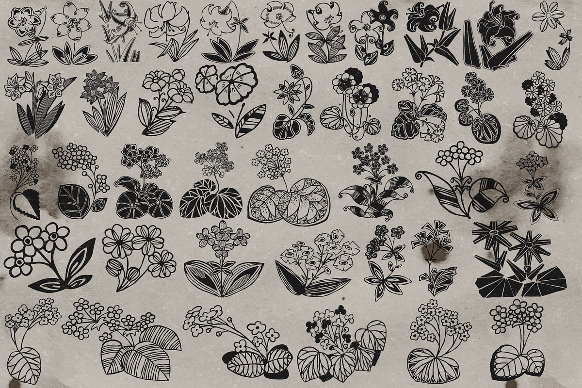 Old style flower stamps Procreate, a Brush Add-On by TheWhiteCatLab (Photo 4 of 5)