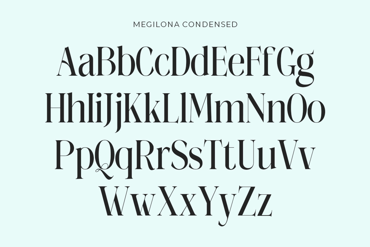 Megilona, a Serif Font by Black Studio (Photo 12 of 17)