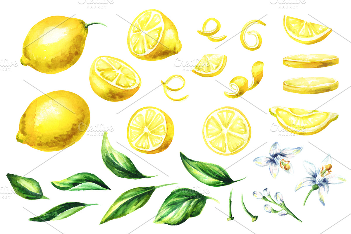 Fresh Lemon. Watercolor collection, a Background Graphic by Daria Ustiugova (Photo 2 of 9)