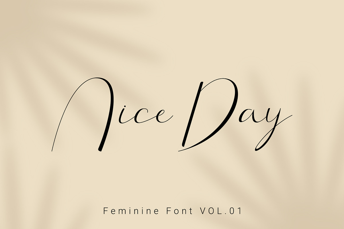 Arlington | Feminine Font, a Script Font by Lightsense (Photo 9 of 12)
