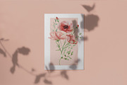 Watercolor Wildflowers Botanical Set, a Decorative Illustration by BarvArt (Thumbnail 15 of 22)