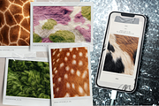 FURther: The Ultimate Fur Collection, a Background Graphic by Anastasiia VNSK (Thumbnail 9 of 12)