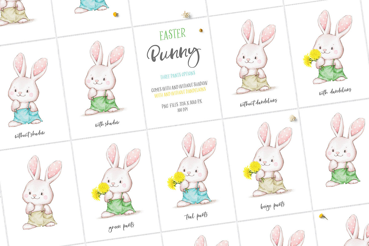 From Christmas to Easter Set, an Animal Illustration by Eva Katerina (Photo 17 of 24)