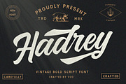 Hadrey - Vintage Bold Script, a Sans Serif Font by Vultype Co. (Thumbnail 1 of 12)