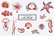 Ocean & sea underwater life, an Object Graphic by Ana-Sakuta (Thumbnail 13 of 18)