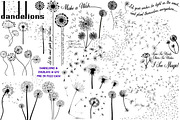 Dandelions & Overlays AI EPS PNG, an Illustration by FrankiesDaughtersDesign (Thumbnail 1 of 6)