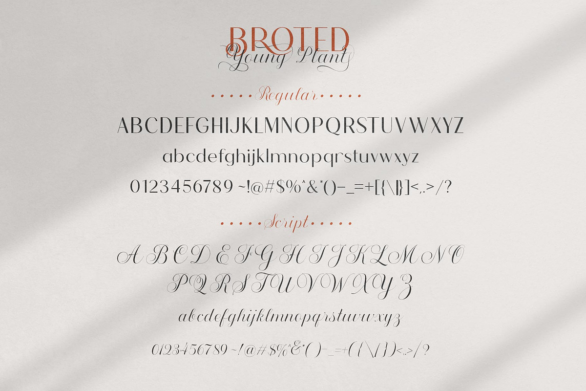 Broted Young Plant Font Duo, a Sans Serif Font by alit design (Photo 5 of 20)