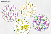 Watercolor meadow herbs&flowers, an Illustration by Depiano (Thumbnail 15 of 19)