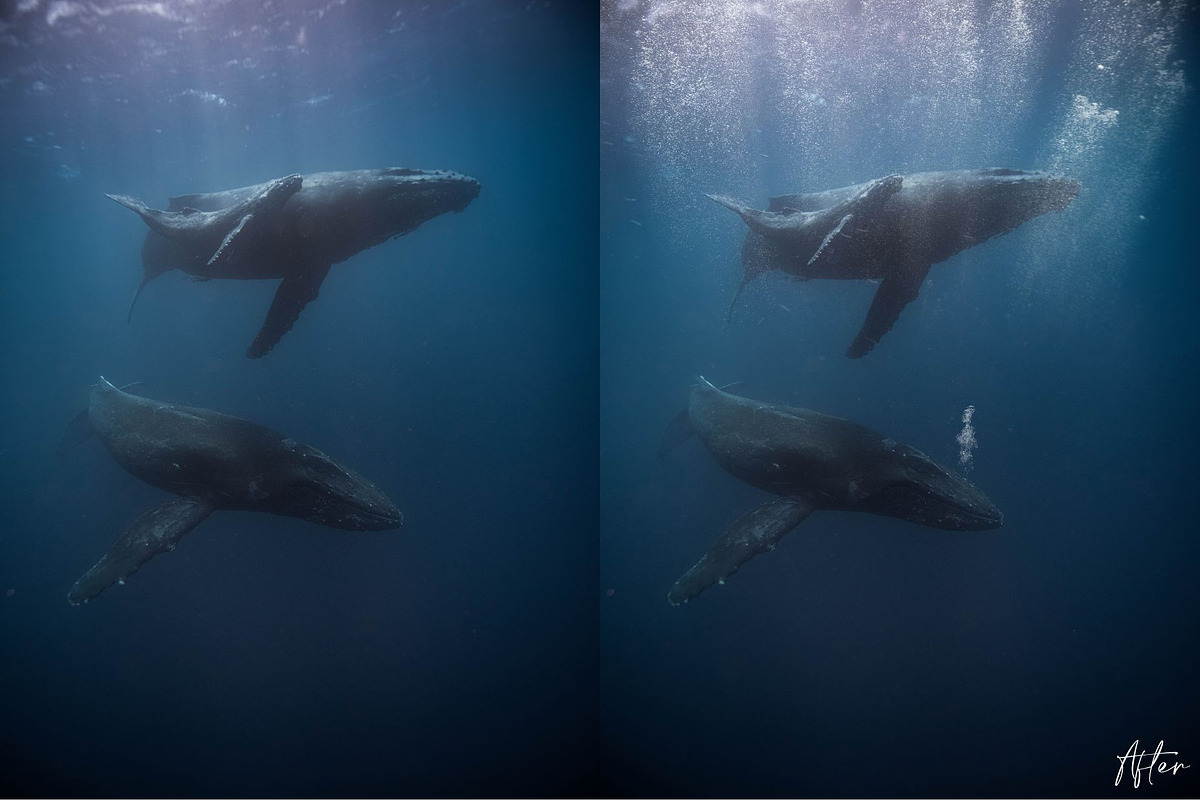 Underwater Bubble Photoshop Overlays, an Object Graphic by Prestige Photography (Photo 5 of 12)