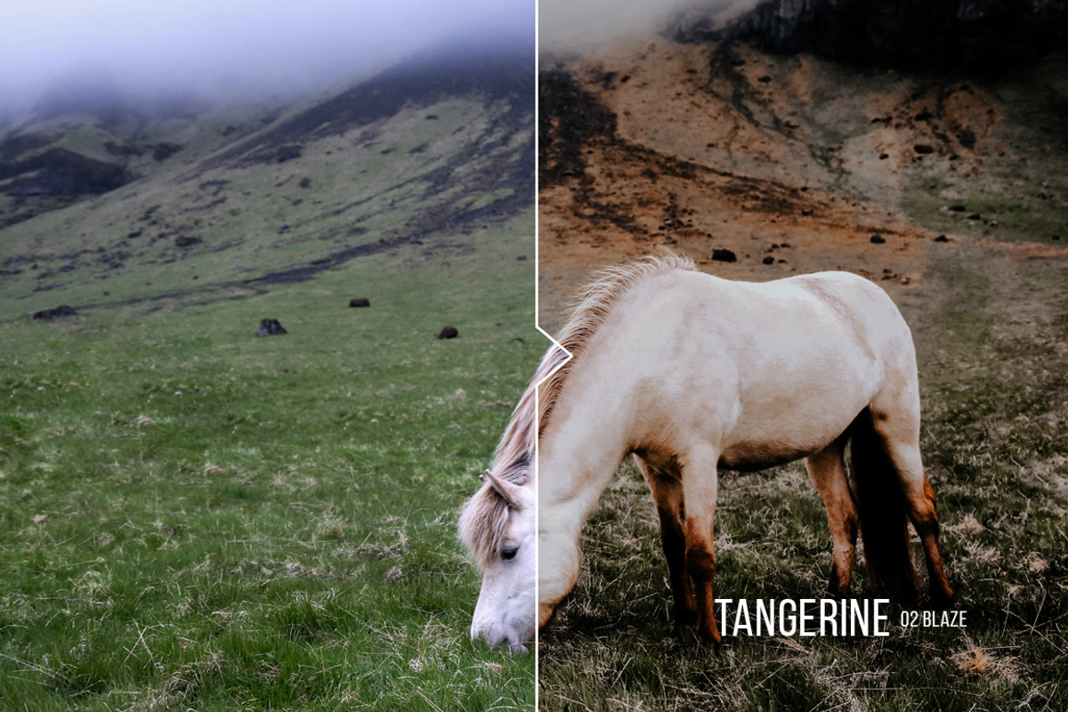 Tangerine Presets - Lightroom & ACR, an Action Add-On by Presetrain Co. (Photo 7 of 12)