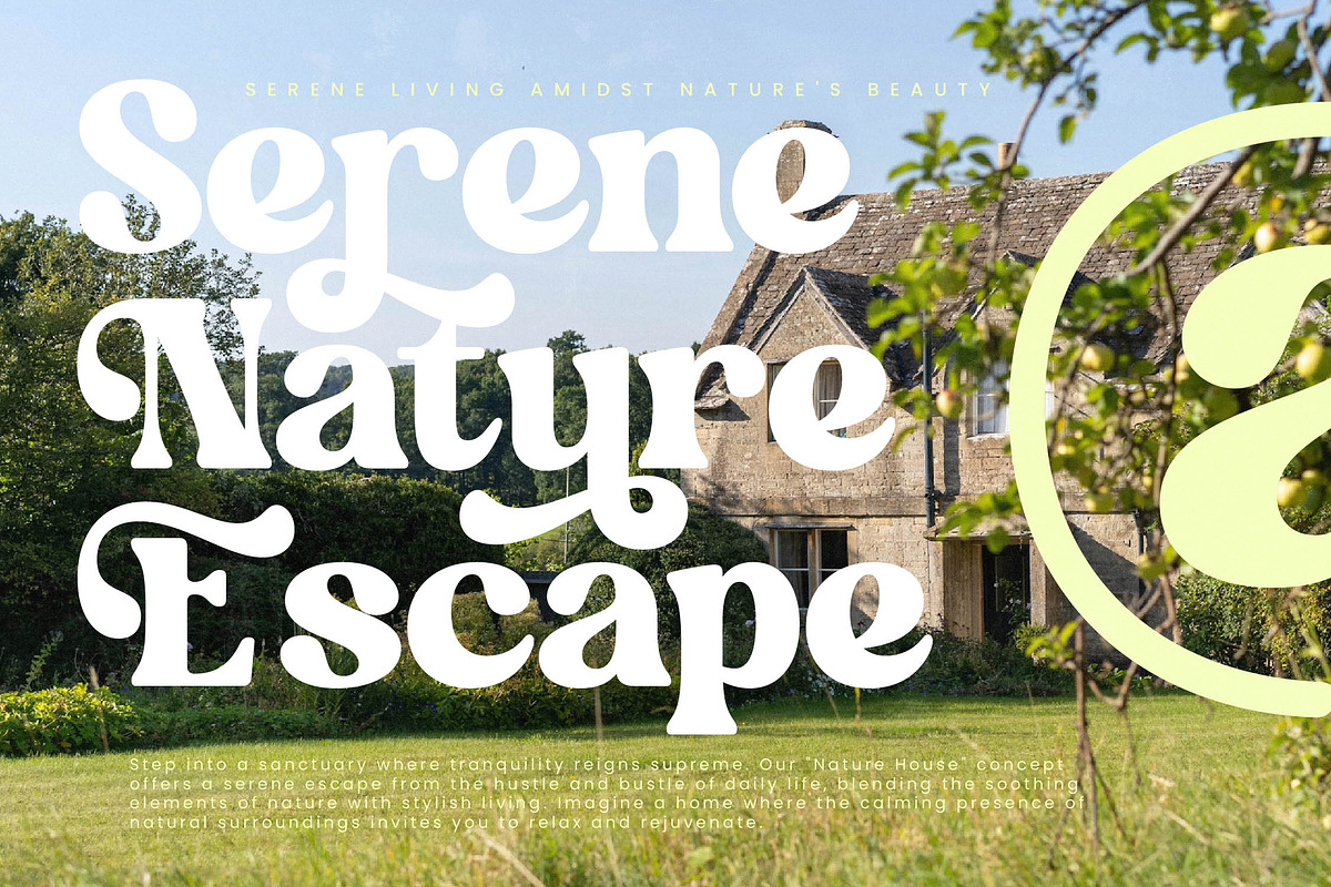 Garden Delight Modern Retro Serif, a Serif Font by timelesstype.co (Photo 8 of 20)