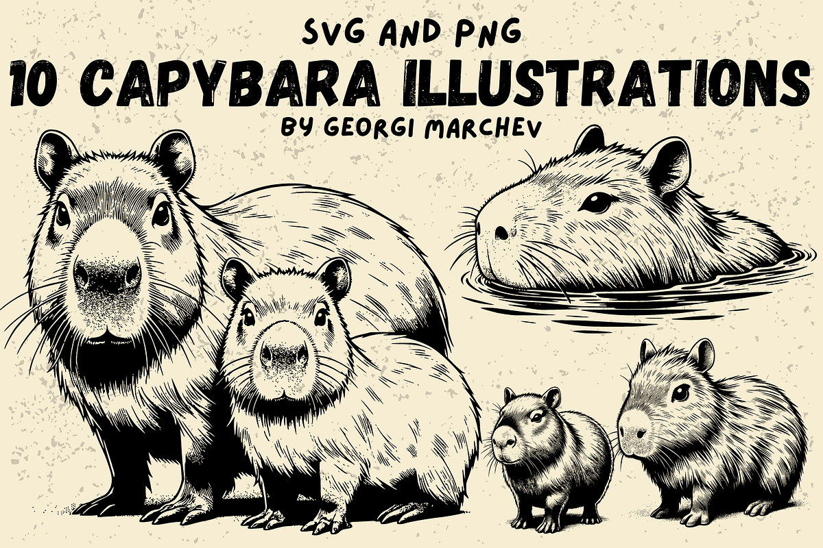 Capybara Illustration Bundle SVG PNG, an Animal Illustration by Ray Crimson