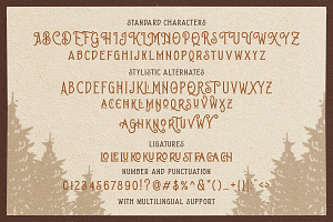 Brown Chunkers - Display Typeface