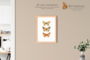 Watercolor Butterfly Clipart, an Illustration by Ksenia Shmakova (Thumbnail 9 of 10)