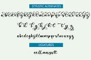 Scotch Argus Butterfly Script Font, a Handwritten Font by Freeling Design House (Thumbnail 3 of 6)