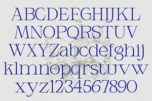 Armeston - Modern Serif