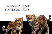 Cheetah Clipart, Wild Cat, Cheetah, an Animal Illustration by BrushstrokeArtGB (Thumbnail 7 of 9)