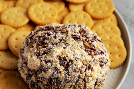 Homemade Cheese Ball with Cream Cheese and Green Onions on a Pla, a Food & Drink Photo by LiudmylaChuhunova