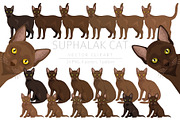 Suphalak cat clipart, an Animal Illustration by pet design shop (Thumbnail 1 of 6)