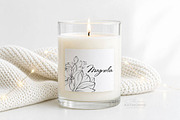 Magnolia Line Art Botanical Vector, a Decorative Illustration by katmonne (Thumbnail 11 of 13)