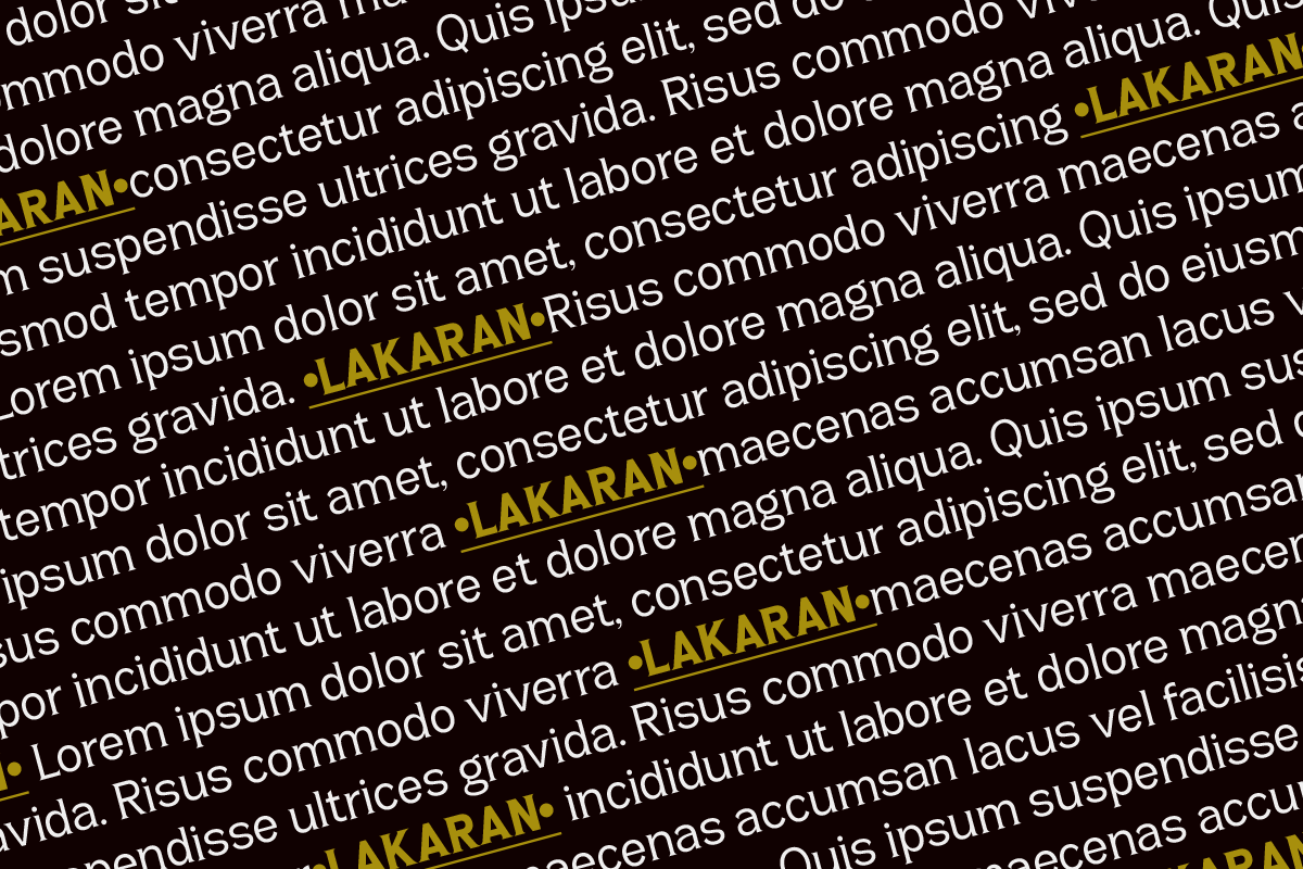 Lakaran, a Serif Font by Differentialtype (Photo 2 of 8)