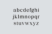 The Regalique Sans Serif Family Font, a Serif Font by UICreative (Thumbnail 5 of 13)