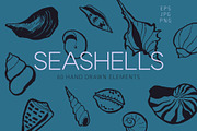 Seashells Hand drawn vector elements, a Seasonal Illustration by Lena Nikolaeva (Thumbnail 1 of 14)
