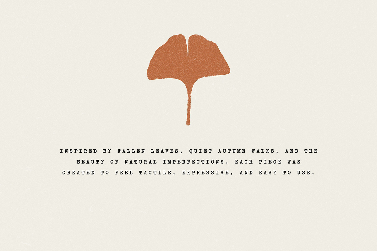 Autumn Foliage: 100 Leaves Pack, an Object Illustration by Veyla (Photo 3 of 15)