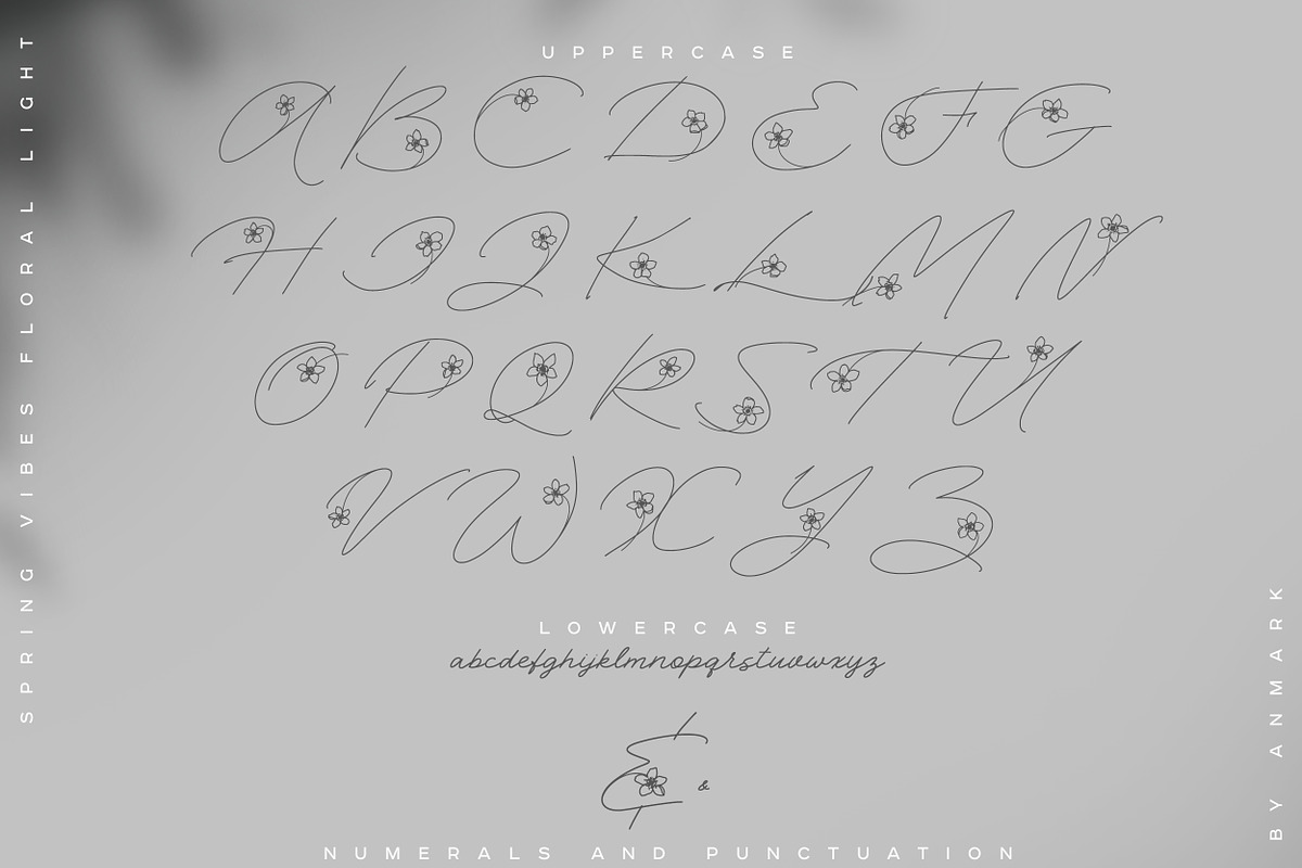 Spring Vibes. Floral Font + Frames, a Script Font by AnMark (Photo 13 of 15)