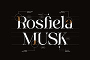 Headline Serif Font Bundle, a Serif Font by Mahesans Co (Thumbnail 23 of 25)